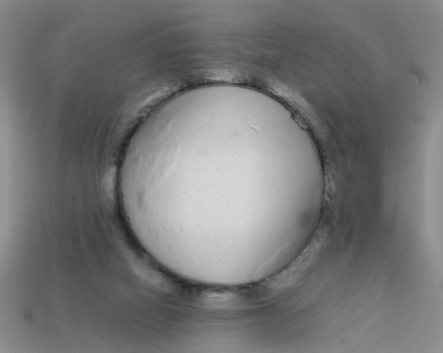 X0000113560066200910161505
