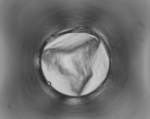 X0000113560067200910161505