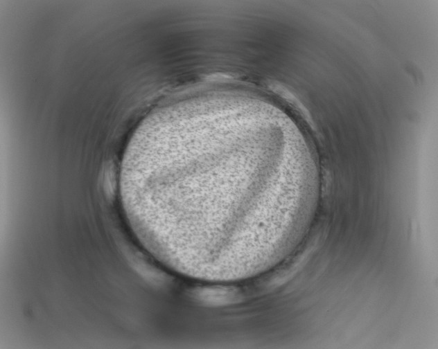 X0000113560069200910161505