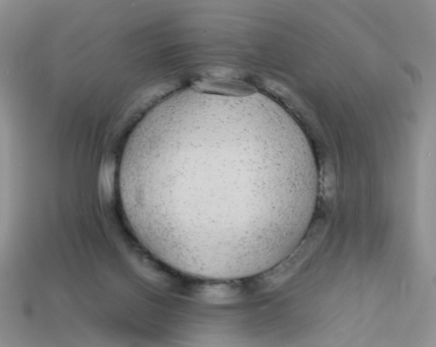 X0000113560070200910161505