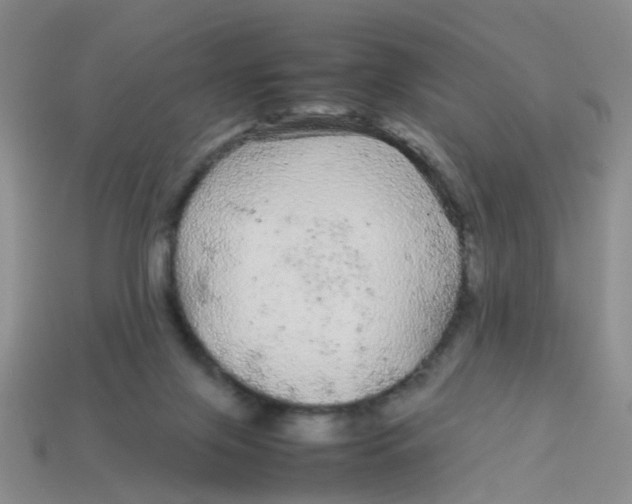 X0000113560071200910161505