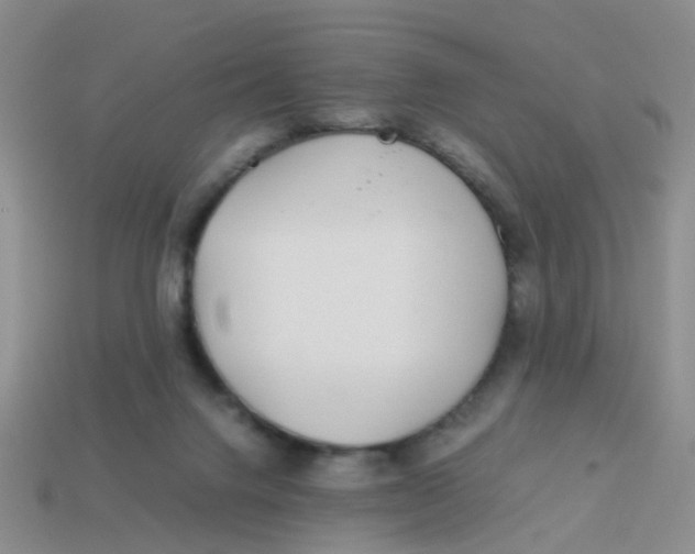 X0000113560072200910161505