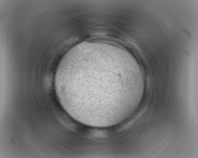 X0000113560073200910161505