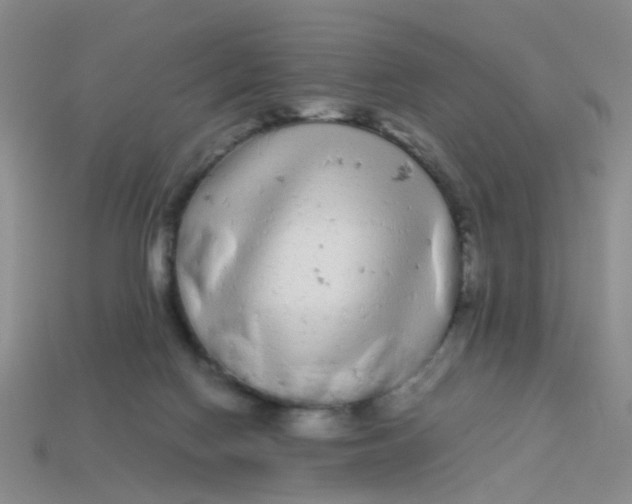 X0000113560074200910161505