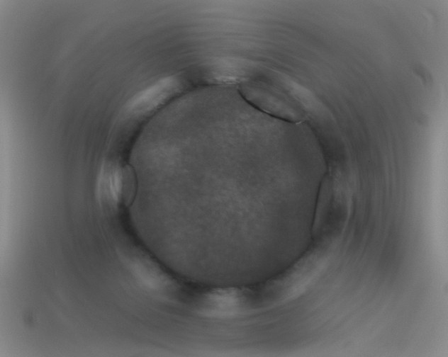 X0000113560076200910161505