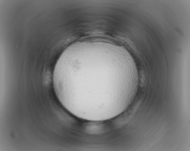 X0000113560077200910161505