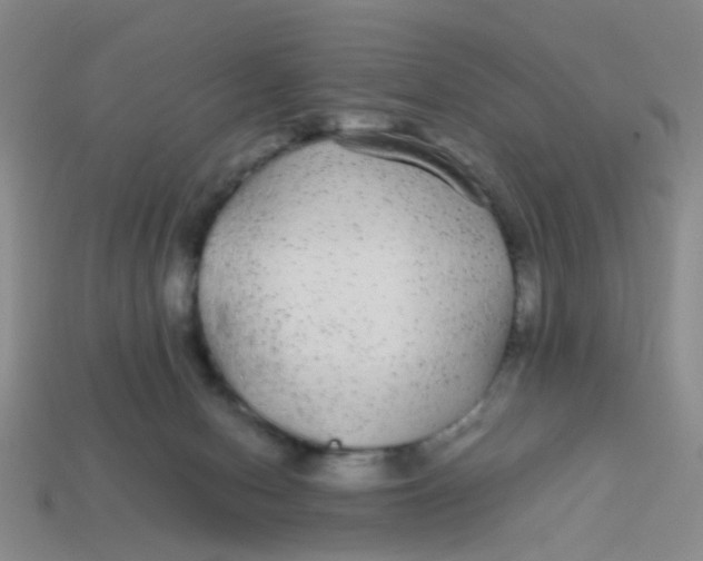 X0000113560078200910161505