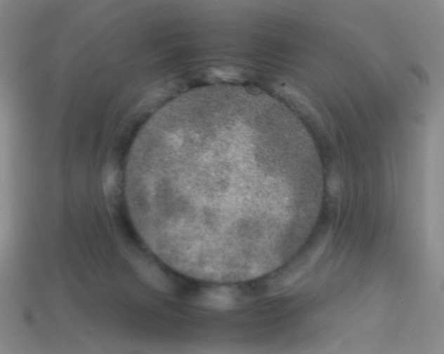 X0000113560079200910161505