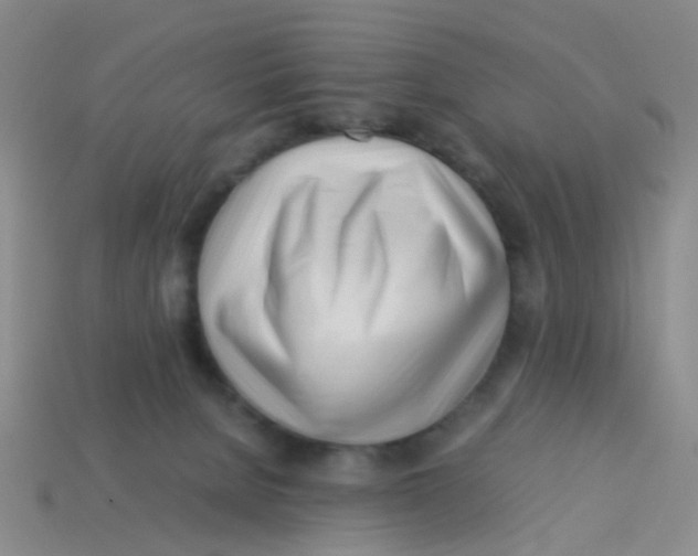X0000113560080200910161505