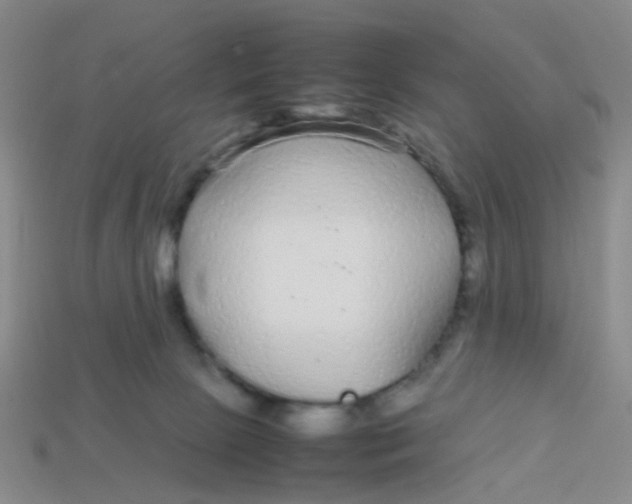 X0000113560081200910161505