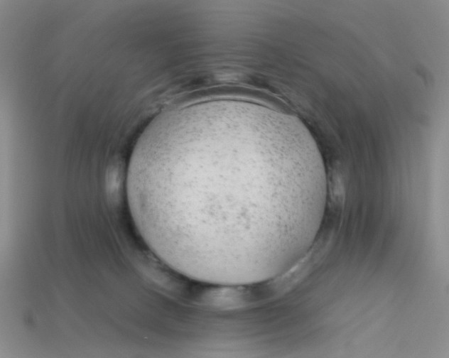 X0000113560082200910161505