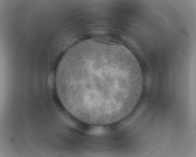X0000113560083200910161505