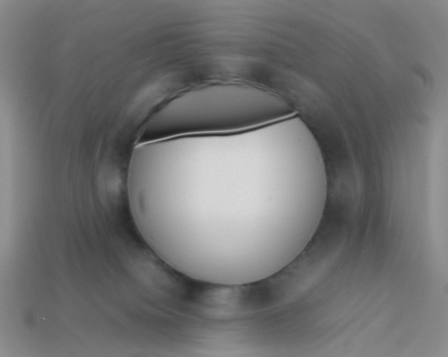 X0000113560084200910161505