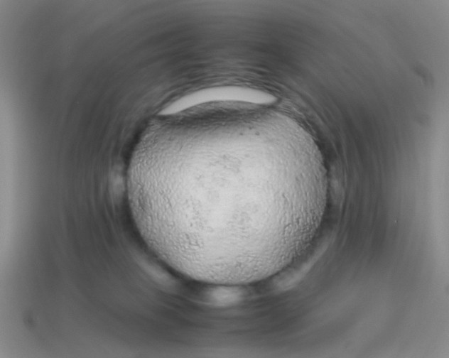 X0000113560085200910161505