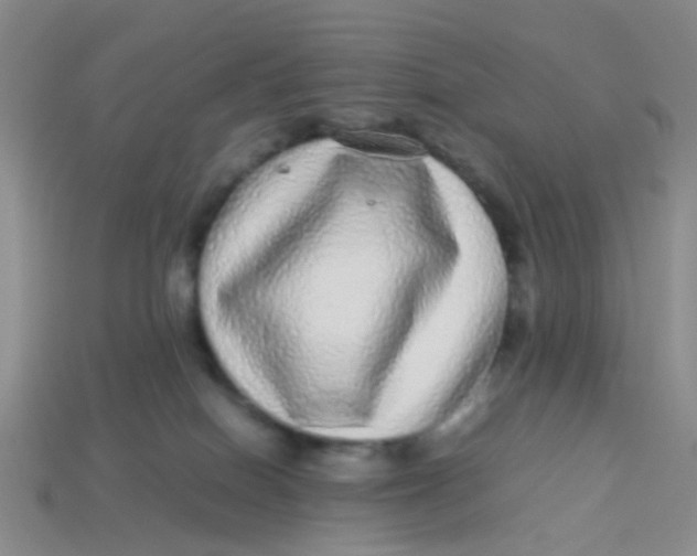 X0000113560086200910161505