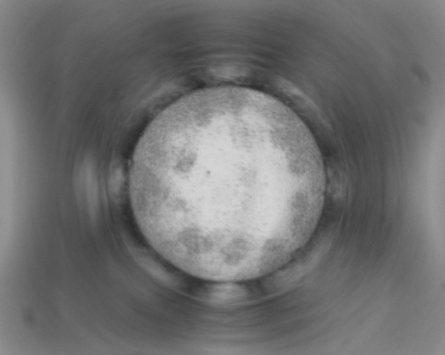 X0000113560087200910161505