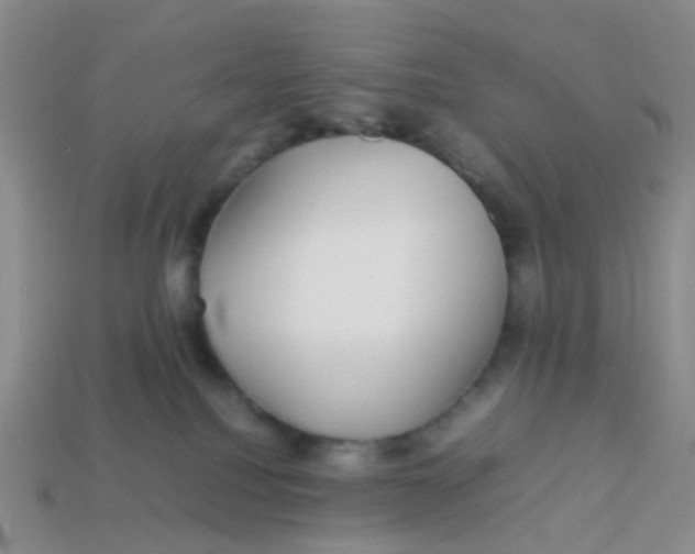 X0000113560088200910161505