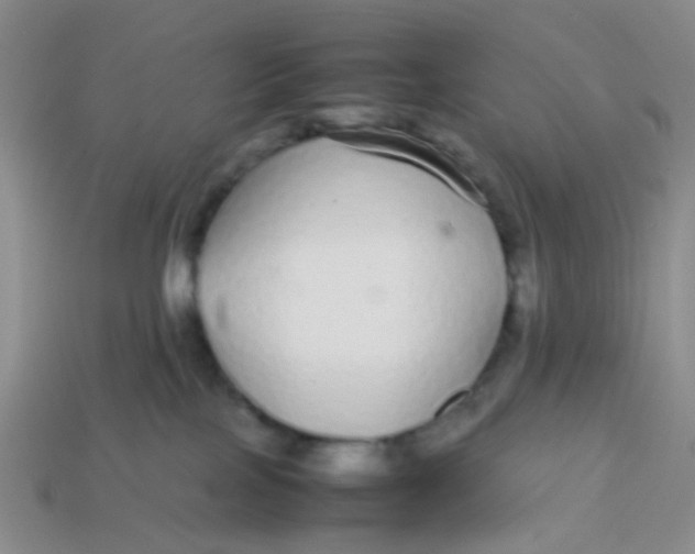 X0000113560089200910161505