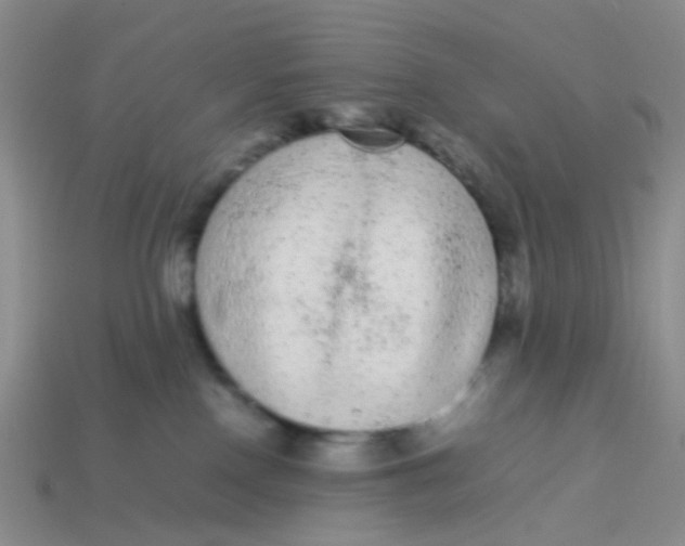 X0000113560090200910161505