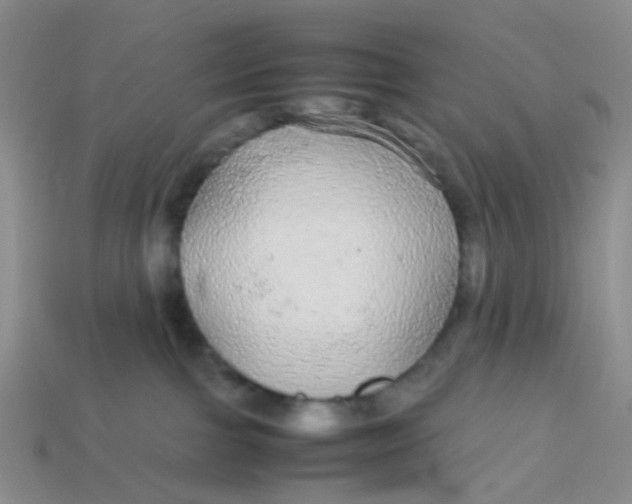 X0000113560091200910161505