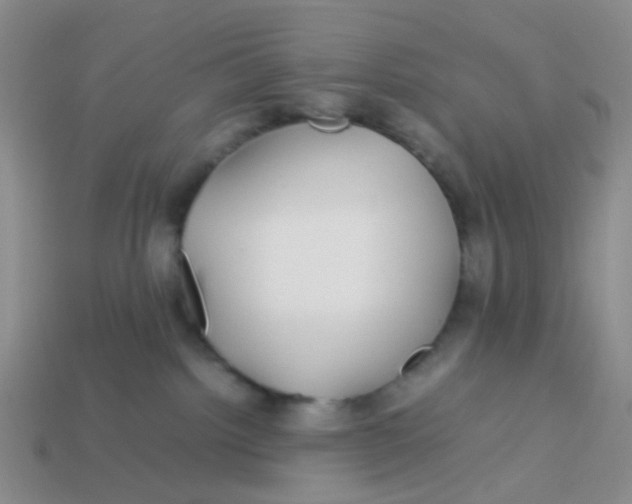 X0000113560092200910161505