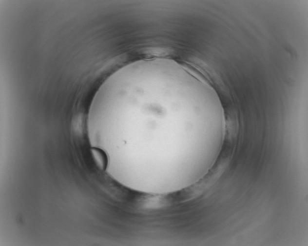 X0000113560093200910161505