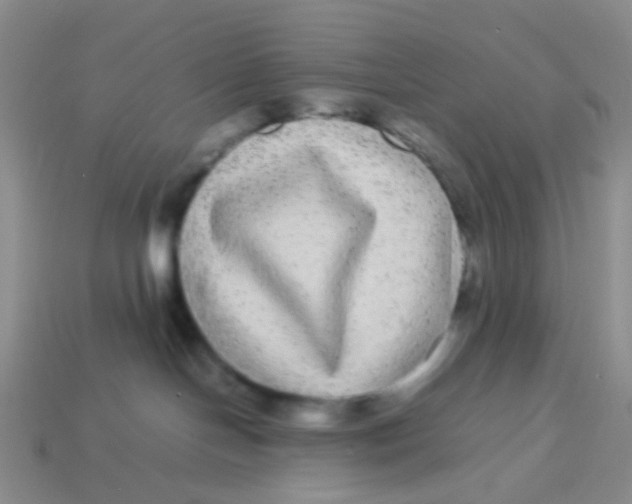X0000113560094200910161505