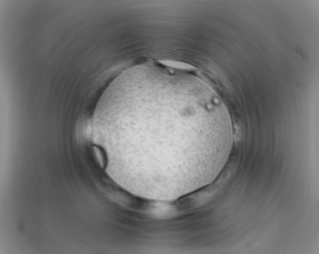 X0000113560095200910161505