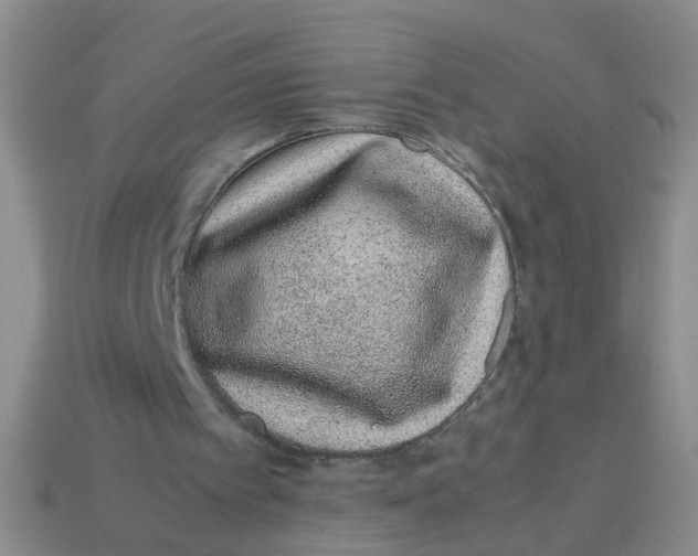 X0000113560097200910161505