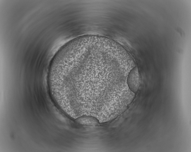 X0000113560098200910161505