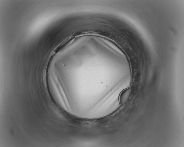 X0000113560099200910161505