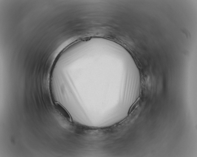 X0000113560100200910161505