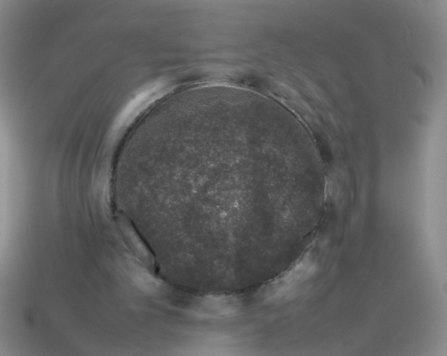 X0000113560101200910161505