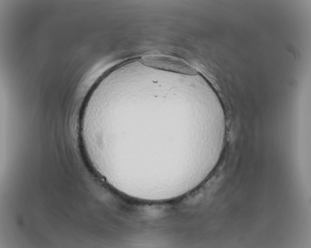 X0000113560103200910161505