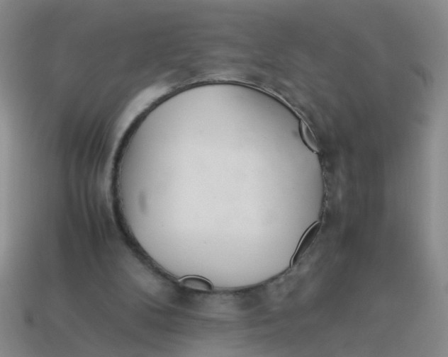 X0000113560104200910161505