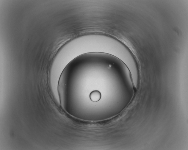 X0000113560105200910161505
