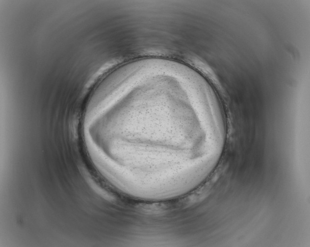 X0000113560106200910161505