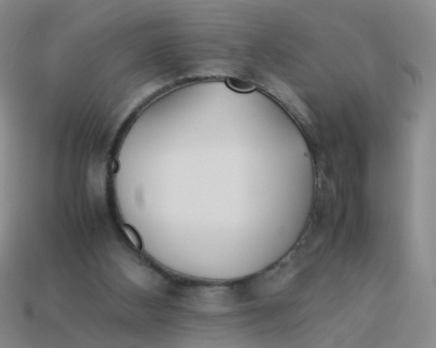 X0000113560108200910161505
