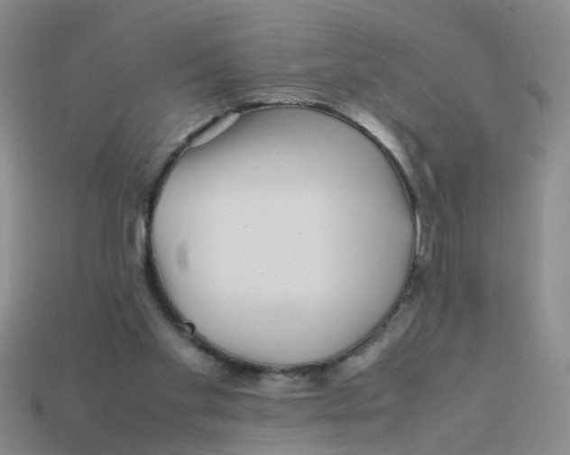 X0000113560109200910161505
