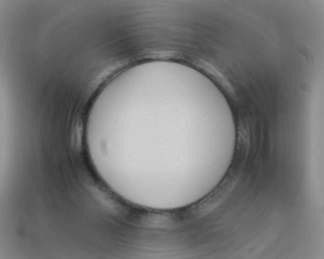 X0000113560110200910161505