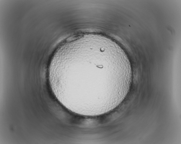X0000113560111200910161505