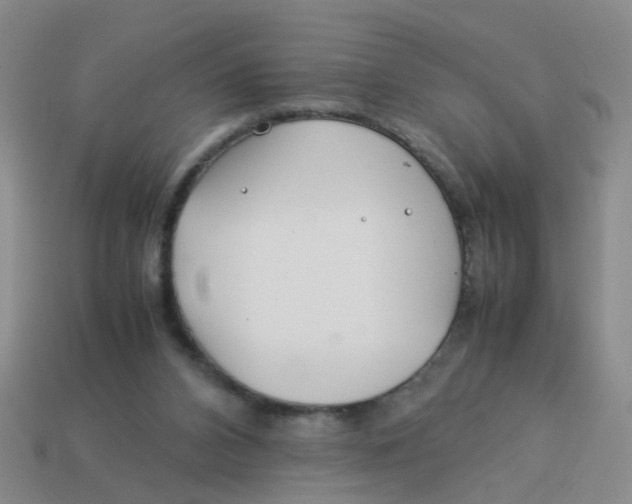 X0000113560112200910161505