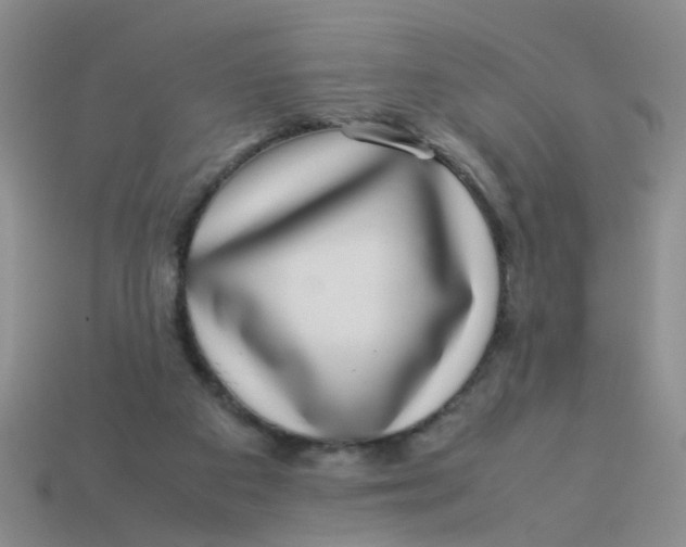 X0000113560113200910161505