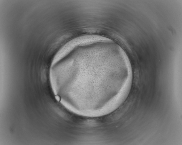 X0000113560114200910161505