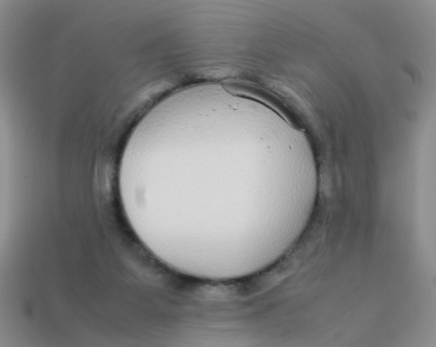 X0000113560115200910161505