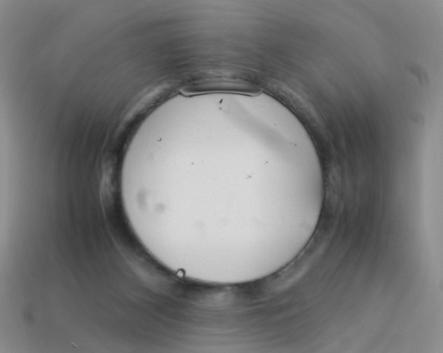 X0000113560116200910161505