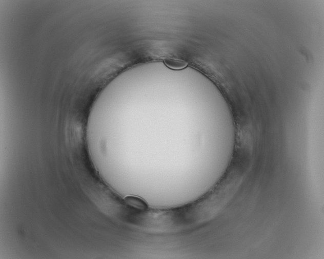 X0000113560117200910161505