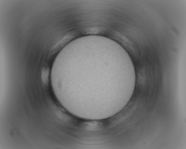 X0000113560118200910161505