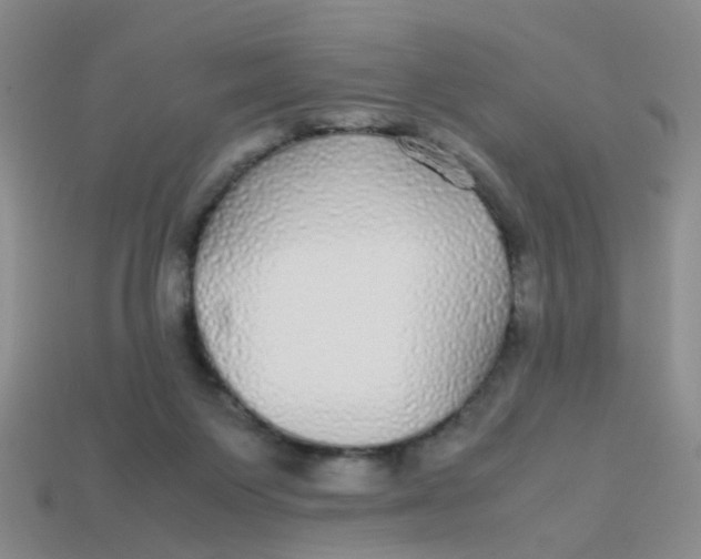 X0000113560119200910161505