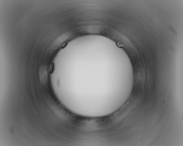 X0000113560120200910161505